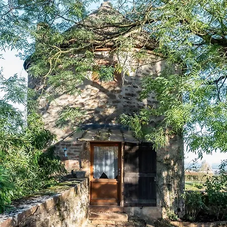 La Petite Tour Du Chateau De Salornay Hurigny Exterior photo